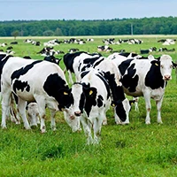 farm24.hu
