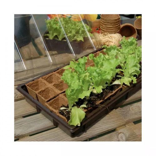 GROWING KIT mini üvegház szett