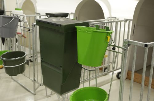 Nagy etetőbox borjúház kerítéshez leeresztő nyílással,akasztós tartóval