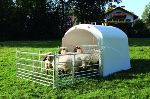 CalfHouse Premium 4/5 borjúházhoz vörösfenyő küszöb