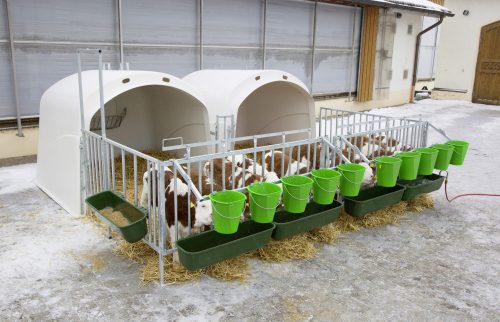CalfHouse Premium 4/5 borjúházhoz vörösfenyő küszöb