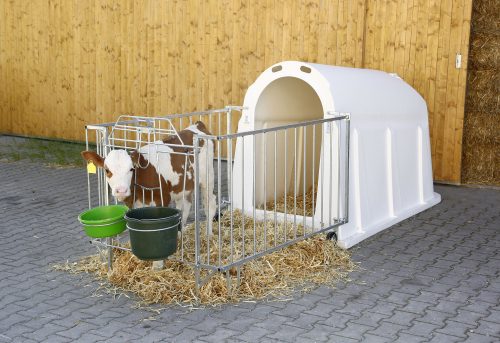 Könnyű kerítés CalfHouse PE UV+ borjúházhoz, CalfHouse PE UV+ borjúház könnyű kerítéssel