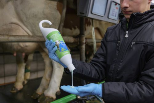 KerbaMINT japánmentás tőgyápoló kenőcs - 500 ml