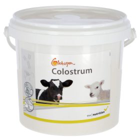   Globigen Colostrum táplálékkiegészítő borjak, bárányok részére - 1kg