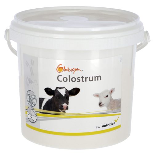 Globigen Colostrum, 1kg, táplálékkiegészítő borjak, bárányok részére