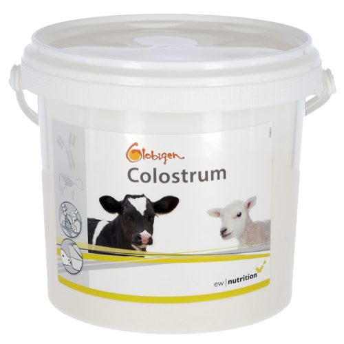 Globigen Colostrum táplálékkiegészítő borjak, bárányok részére - 1kg