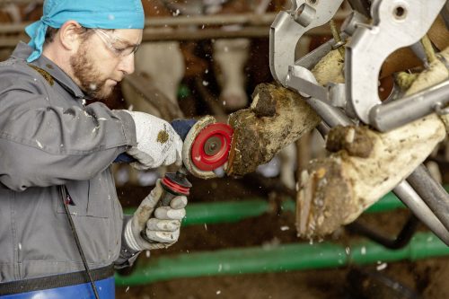 P6 Patafaragó korong 6 késes - 105 mm