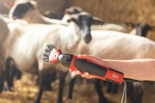 Juhnyíró gép FarmClipper Profi Juhnyíró gép, 350W, max 2400 kettős löket/perc, 5,5 m kábellel