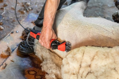 Juhnyíró gép FarmClipper Profi Juhnyíró gép, 350W, max 2400 kettős löket/perc, 5,5 m kábellel