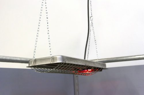 Melegítőlámpa malacoknak, 230V-100W