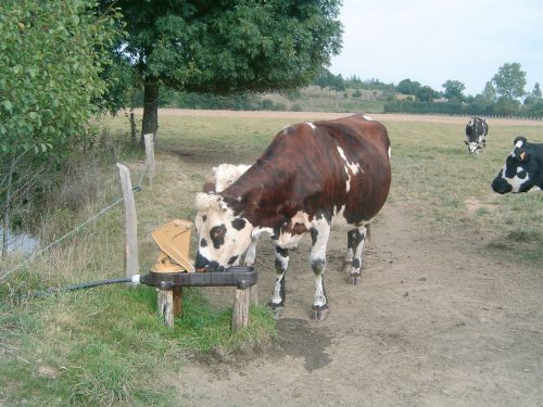 Itató pumpa Aquamat II , AQUAMAT II típusú itatószivattyú legelőre