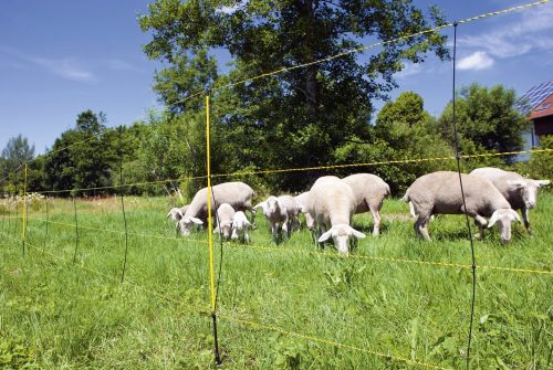 AKO EasyNet Villanypásztor háló juhoknak, 50 m x 105 cm, juhháló, egy leszúró tüskével