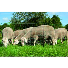   AKO OviNet villanypásztor juhháló, zöld, 50 m x 90 cm, dupla leszúró tüskével