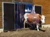 PVC áttetsző szalagfüggöny csík tekercsben 20cmx2mm - 50 m