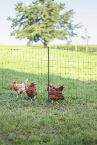 Premium PoultryNet baromfiháló, nem elektromos, egy leszúrós, 50 m, 122 cm