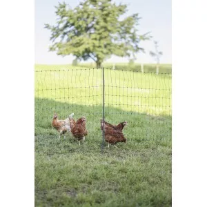 Premium baromfiháló 106 cm magas duplaleszúrós, nem elektromos - 25 m
