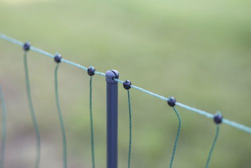 AKO Premium baromfiháló, villanypásztorháló 50 m, duplaleszűrós, elektromos