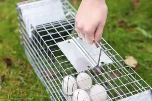 Predator Super élvefogó doboz - 65x17x20 cm