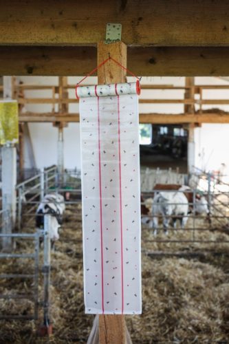 Légyfogó papírtekercs Eco - 10 m/25 cm