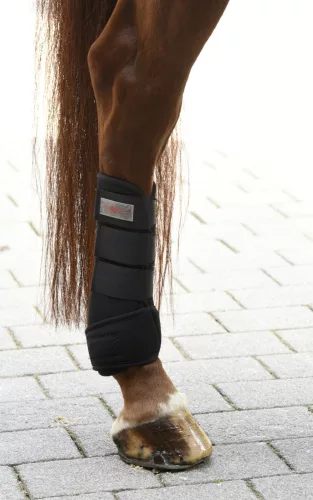 Ínvédő-bokavédő szett, szintetikus, fekete, pony