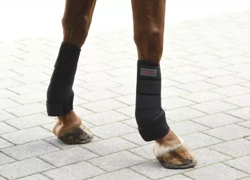 Ínvédő-bokavédő szett, szintetikus, fekete, pony