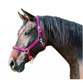 Mustang cob kötőfék - 2-es, piros/fekete