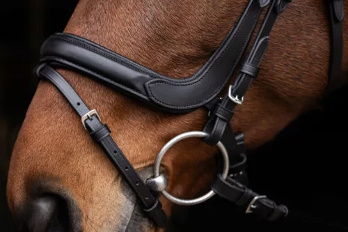 Anatómiailag formázott kantár - fekete, cob
