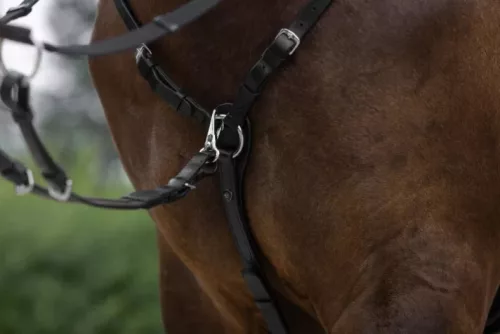 Szügyhám - fekete, cob