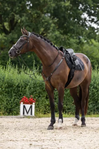 Szügyhám - fekete, full