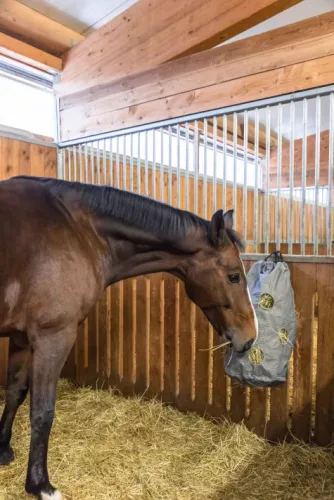 Canvas szénazsák - 90x55 cm, 210 l