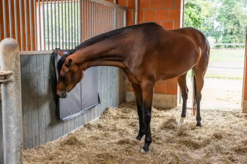 Párnázat boxba - fekete, 120x100x4 cm