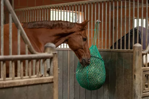 Szénaháló gyűrűvel - zöld, 90 cm, 45x45 mm lyukmérettel