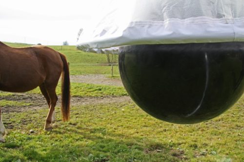TaonX, bögölycsapda, vegyszermentes és környezetbarát 10,000 m2-ig