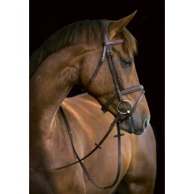 Classic barna kantár - cob