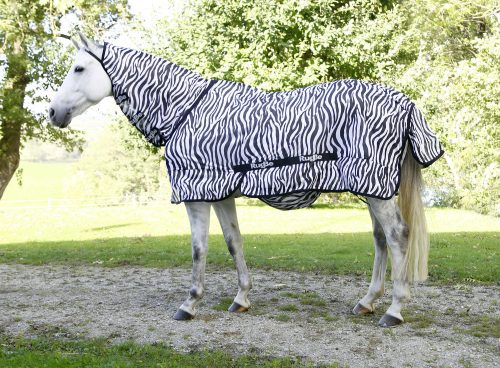 Zebra légy elleni takaró lovaknak - 125 cm