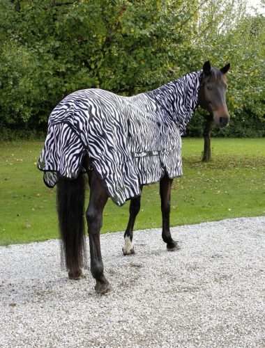 Zebra légy elleni takaró lovaknak - 125 cm