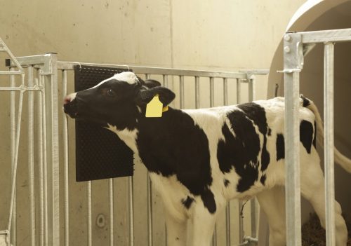 Fali vakarólap természetes gumiból gumi bütykökkel - 40x60cm