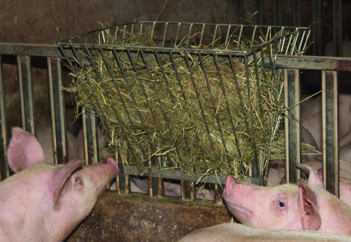 Dupla szénarács - 40 mm rácstávolság