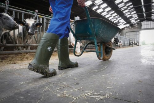 Steplite X gumicsizma - 36