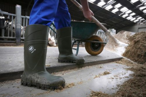 Steplite X gumicsizma - 43