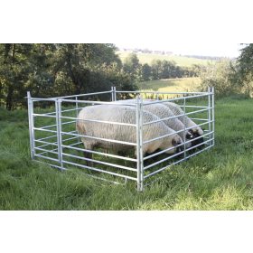 Galvanizált juh karámelem 92 cm magas - 1,83 m