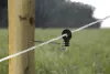 AKO távtartós villanypásztor körszigetelő facsavaros menettel - 22 cm, 10 db/cs