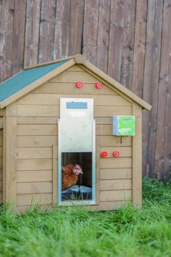 Automata baromfi ajtó csúszóajtóval 300x400 mm