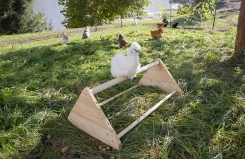 Ülőrúd baromfinak - 96x50x35cm, fa