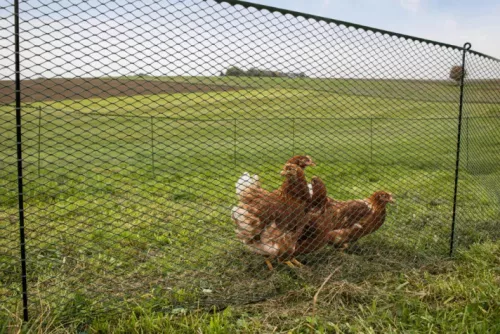 MultiFence univerzális háló - 0,9 m magas, 8 karóval, 16 u-szeggel, 12 m