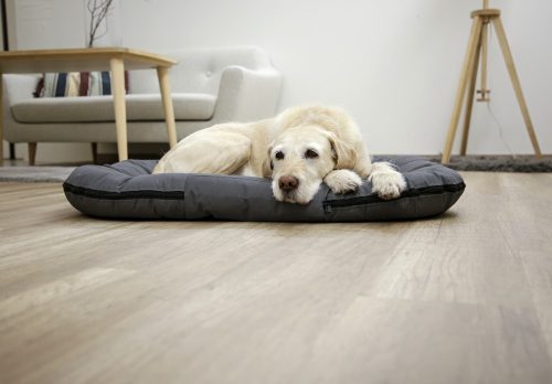 Oxford Place fekhely, szürke - 100x70x15 cm