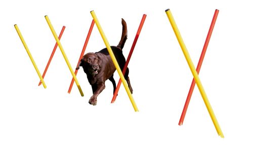 3 részes piros/sárga agility szett - gyűrűvel, ugrórúddal, szlalommal, praktikus szállító táskával