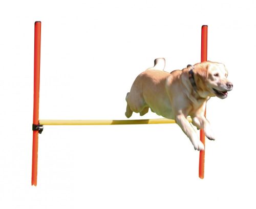 3 részes piros/sárga agility szett - gyűrűvel, ugrórúddal, szlalommal, praktikus szállító táskával