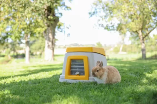 Bunny Base nyúlház - komplett szett