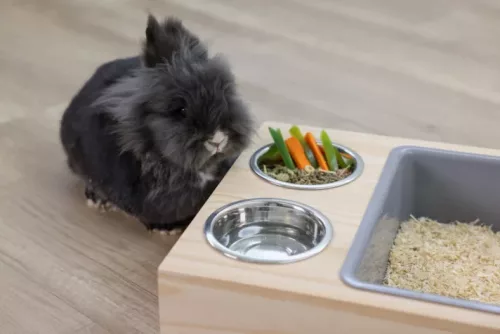 Ásó és etetőállomás - nyulaknak, 70 x 36 x 24 cm